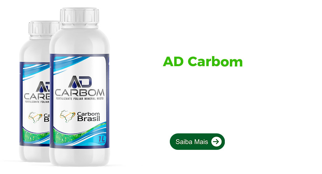 https://carbombrasil.com.br/wp-content/uploads/2024/07/AD-Carbom-OK-1.png